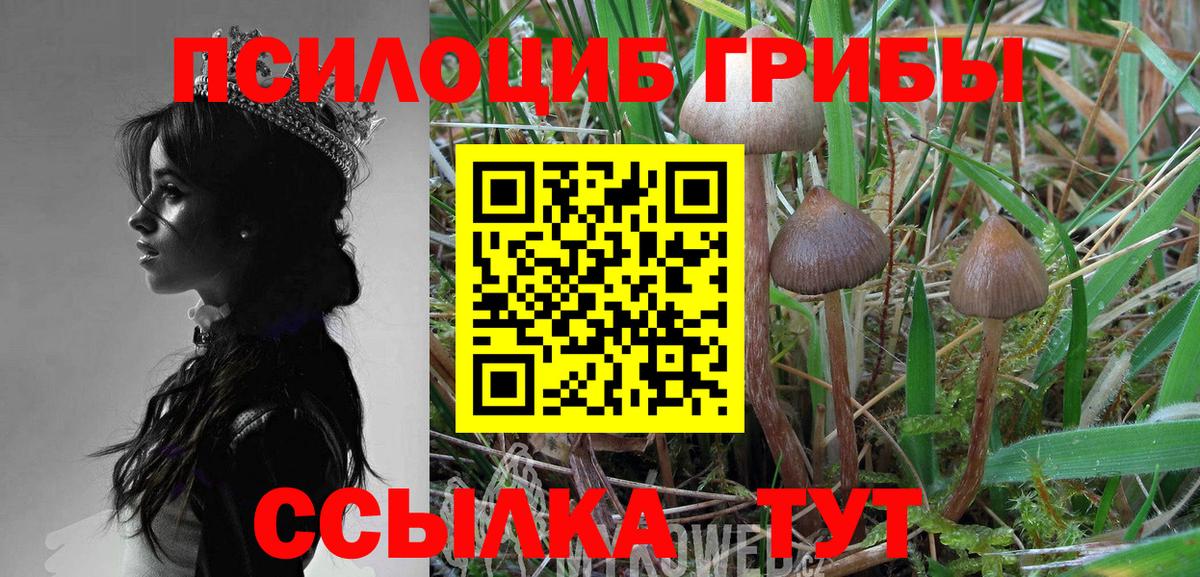 Галлюциногенные грибы прущие грибы  Галлюциногенные грибы мухоморы  Вход с VPN  Бердск 